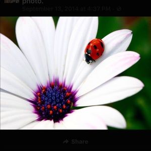 Meet your Posher, KGB